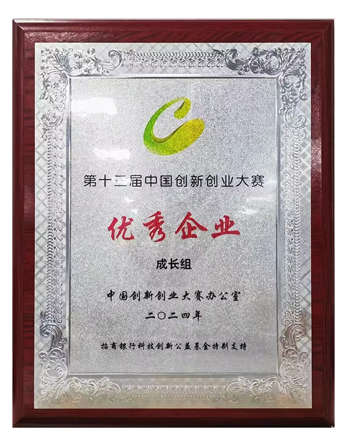 Outstanding Enterprise, 13th China Innovation & Entrepreneurship Competition